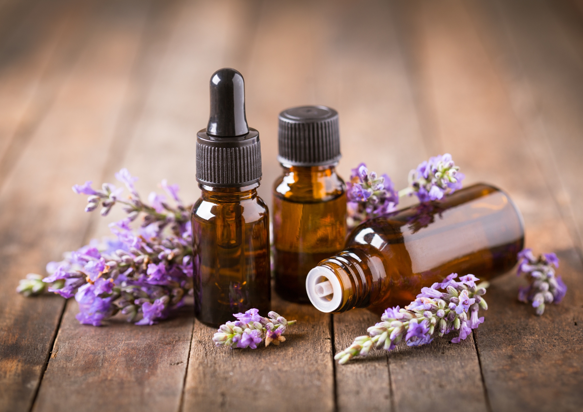 aromatherapie_Angelique_Mendes_naturopathe_Rose_des_Vents_Morges_Tolochenaz_lavande