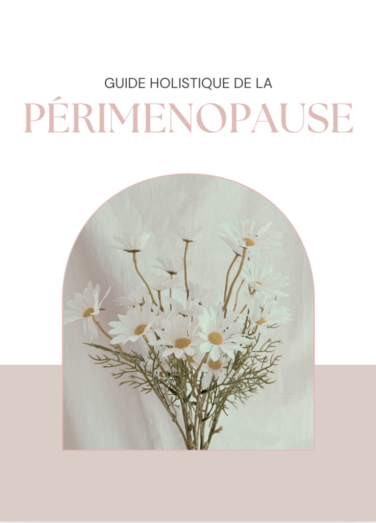 Guide_perimenopause_rose_desvents_Angelique_Mendes_naturopathe